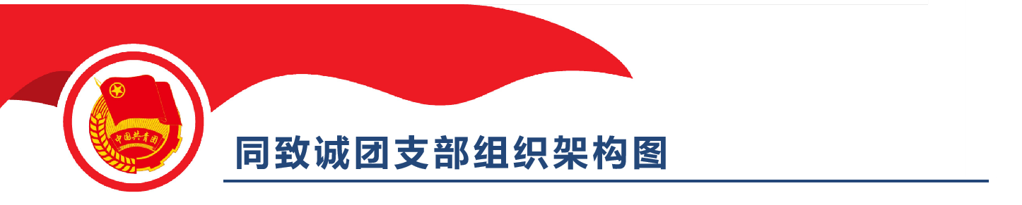 香港六台盒宝典资料大全