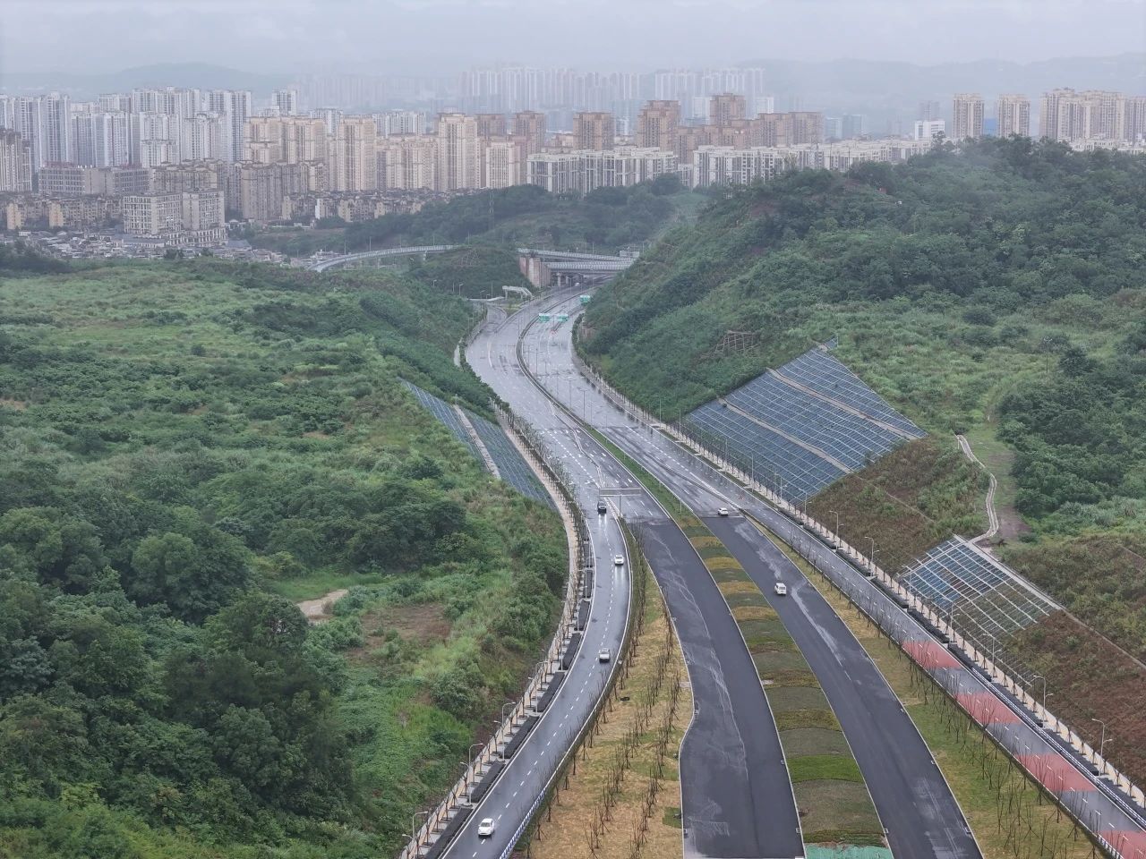 香港六台盒宝典资料大全